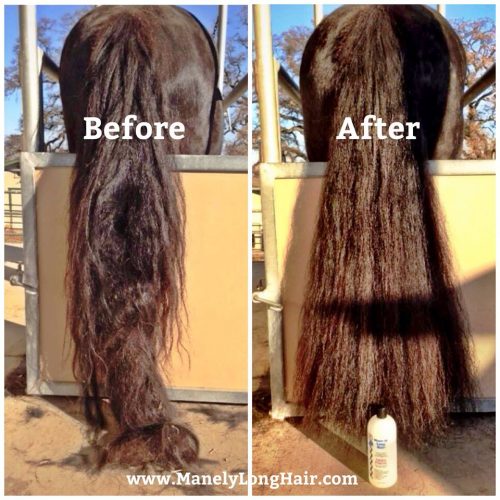 Results with Mane-ly Long Hair on the tail de-tangler works fast